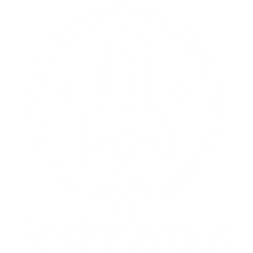Voyage Supplements